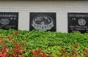 Nanjing University Of Chinese Medicine, Xianlin Campus, Jingwen Library
