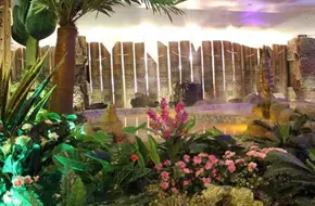 37° Deep Sea Hot Spring