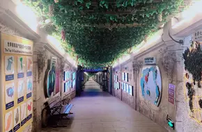 Qingdao Wine Museum