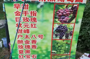 Jiangsu Geguan Group
