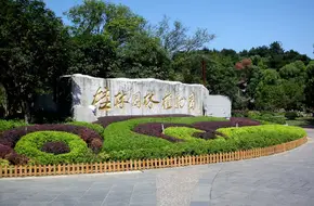 Guilin Botanical Garden