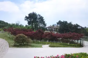 Tieshanping Forest Park