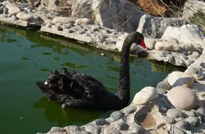 Nanshan Park Zoo