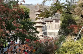Maitreya Holy Land
