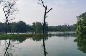 Chuanshan Stone