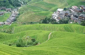 Longji Da Yao Zhai Terrace Scenic Area - No.2 Observation Deck