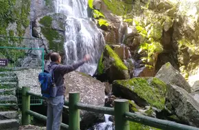 Zanglong Hundred Waterfalls Millennium Ginkgo