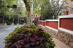 Daxue Road