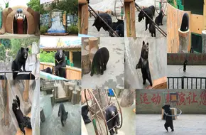 Qingdao Eastern Bear Ranch