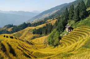 Ping'An Zhuang Rice Terrace Scenic Area
