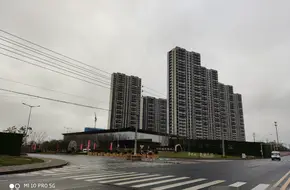 Longshan Memorial Forest