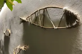 Mantangli