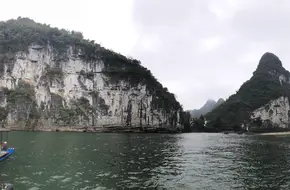 Cormorant Fishing