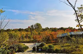 Tai Ping Jiao Park