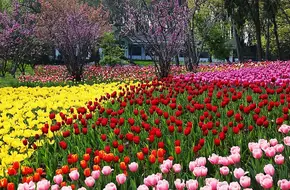 Nanjing Zhongshan Botanical Garden