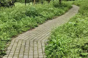 Wujiadawan