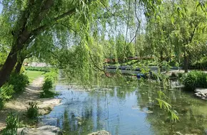 Vanke Ecological Park