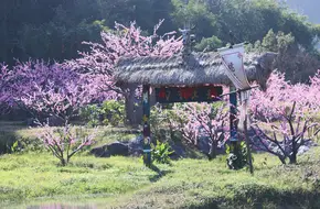 Taohuayuan Village
