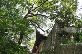 Yuhuang Mountain Scenic Area