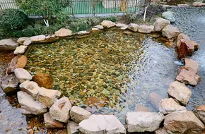Lingfeng Qingqing World