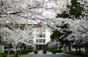 Nanjing Forestry University Library