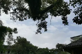 Dushan Mountain
