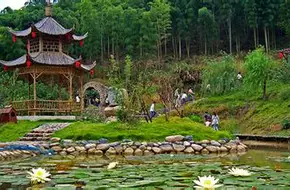 Lotus Mountain