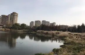 Green City Ideal Town