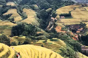 Longji Dazhai