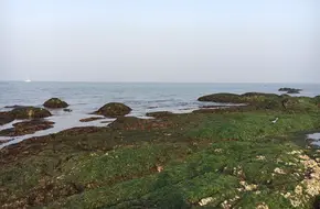 Yantai No.2 Seawater Bathing Beach