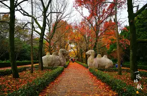 Wengzhong Road Sacred Way