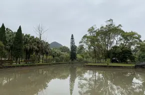Guilin Yayuan Stele Forest