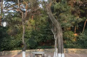 Nanshan Park