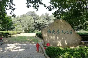 Yuhua Tea Culture District