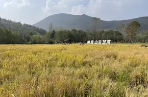 Xiangtang Taoyuan Valley