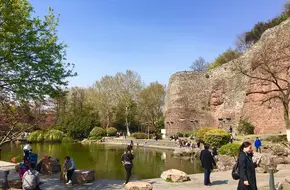 Stone City Park
