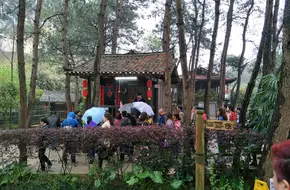 Jin Yin Zhai · Snake King Li Manor