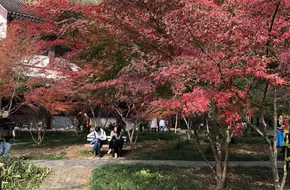 Peach Blossom Lake