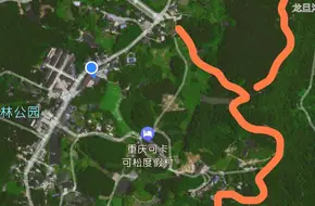 Yufeng Mountain Forest Park - Cliffside Walkway