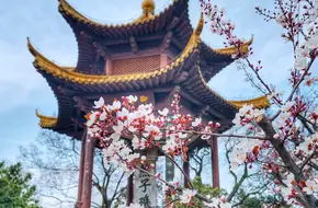Yanziji Park