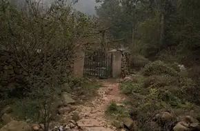 Hua Lou Mountain Cherry And Apricot Picking Garden