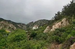 Shao Mountain Dahong Apricot Picking Garden Farmhouse Banquet