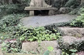 Zhongshan Scenic Area - The Stubborn Stone Nods
