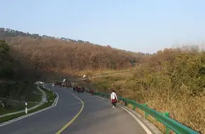 Laoshan Ring Greenway