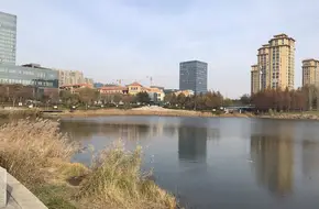 Green City Ideal Town