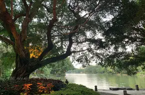 Rong Lake Park