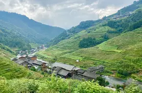 Longji Rice Terraces Scenic Area - Jinzhu Zhuang Village