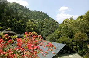 Datang Bay Health And Wellness Scenic Area