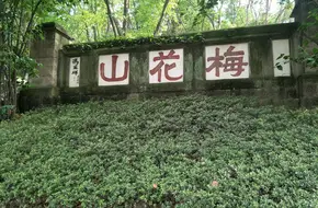 Meihua Mountain