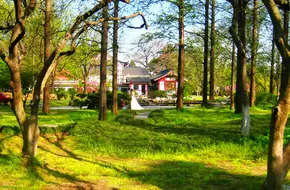 Xuanwu Lake Park-Cherry Islet